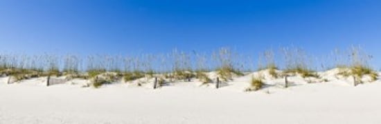 Sand dunes on Gulf Of Mexico Orange Beach Baldwin County Alabama USA Canvas Art - Panoramic Images (36 x 12)