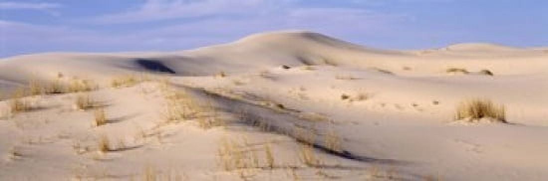 Sand dunes on an arid landscape Monahans Sandhills State Park Texas USA Canvas Art - Panoramic Images (18 x 6)