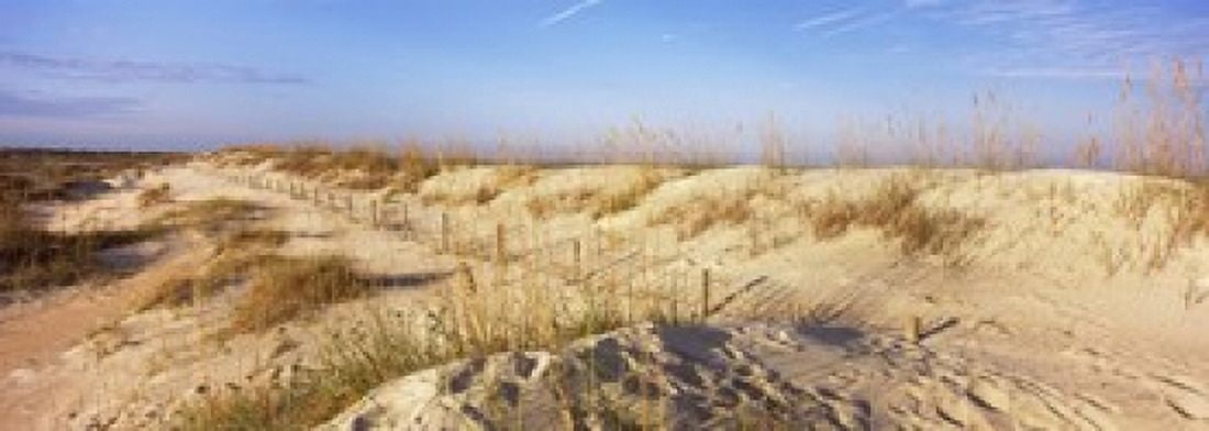 Sand dunes on the beach Anastasia State Recreation Area St Augustine St Johns County Florida USA Canvas Art - Panoramic Images (36 x 13)