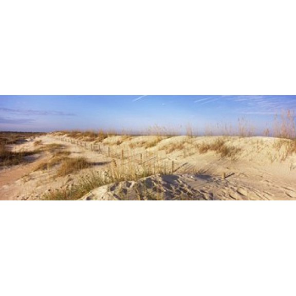 Sand dunes on the beach Anastasia State Recreation Area St Augustine St Johns County Florida USA Canvas Art - Panoramic Images (36 x 13)