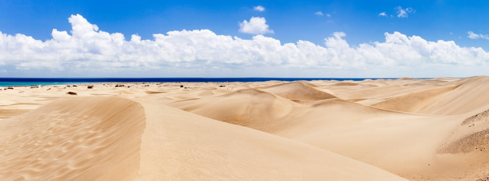 Sand dunes on the beach Maspalomas Gran Canaria Las Palmas Canary Islands Spain Canvas Art - Panoramic Images (36 x 12)