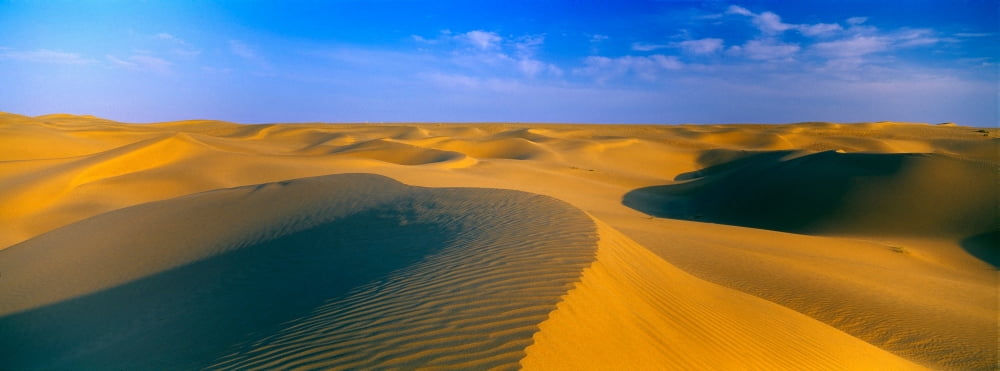 Sand dunes the Thar Desert Rajasthan India Canvas Art - Panoramic Images (27 x 9)