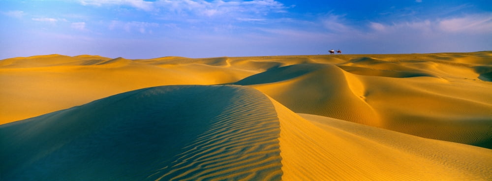 Sand dunes the Thar Desert Rajasthan India Canvas Art - Panoramic Images (27 x 9)