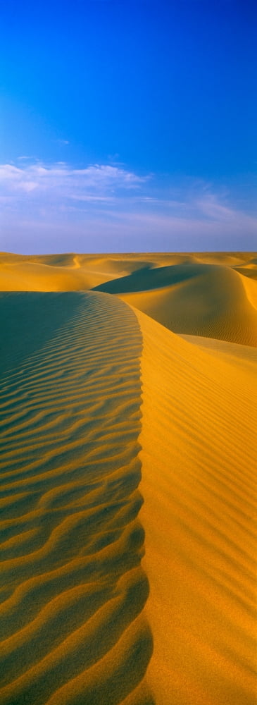 Sand dunes the Thar Desert Rajasthan India Canvas Art - Panoramic Images (27 x 9)