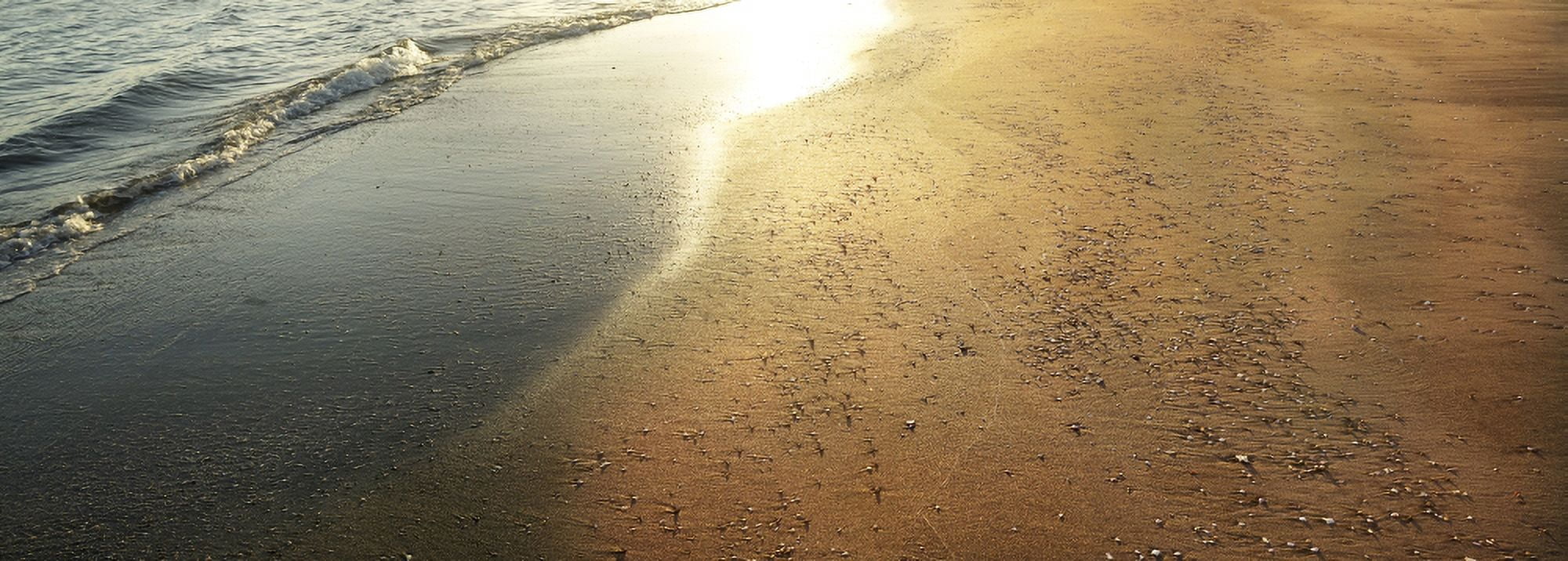 Sand on the beach Liberia Guanacaste Costa Rica Canvas Art - Panoramic Images (27 x 9)