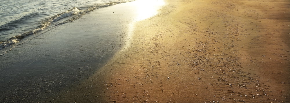 Sand on the beach Liberia Guanacaste Costa Rica Canvas Art - Panoramic Images (36 x 12)