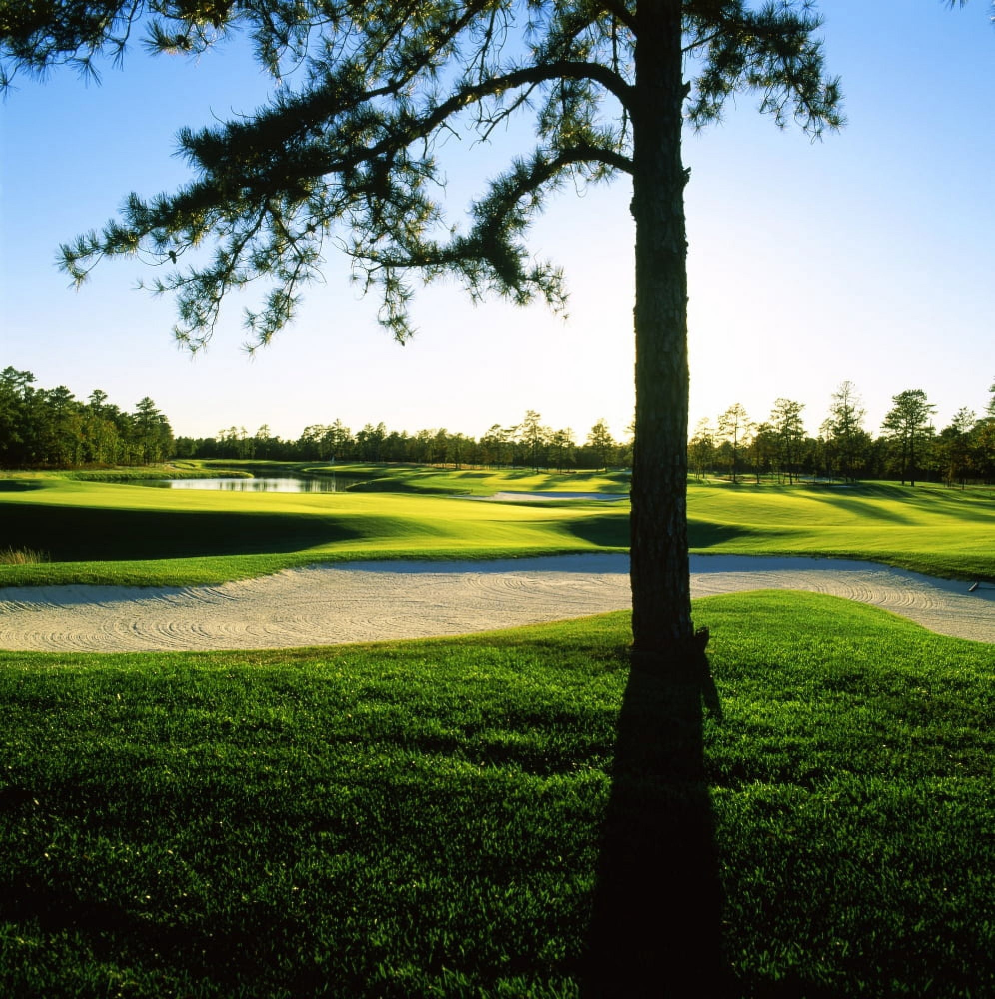 Sand trap in a golf course Ballamor Golf Club Egg Harbor Township Atlantic County New Jersey USA Canvas Art - Panoramic Images (24 x 24)