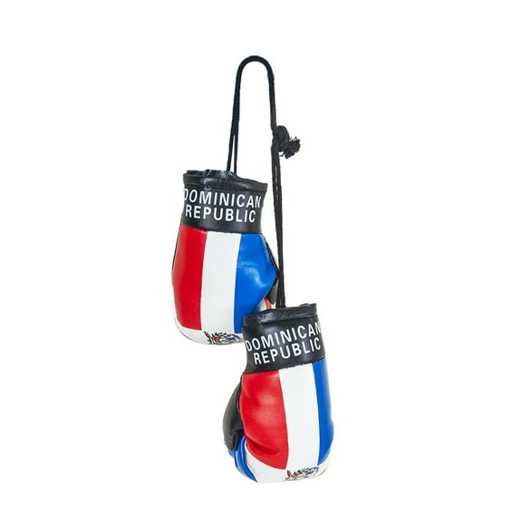 SandT Collection Country Flag Mini Boxing Gloves - Hanging Punching Gloves
