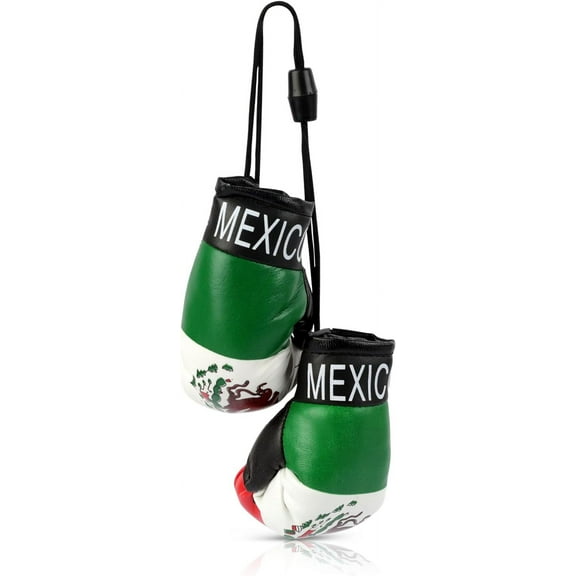 SandT Collection Country Flag Mini Boxing Gloves - Hanging Punching Gloves