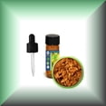 thumbnail image 1 of Sandalwood Absolute Oil ( (Santalum Album, East Indian), 1 of 1