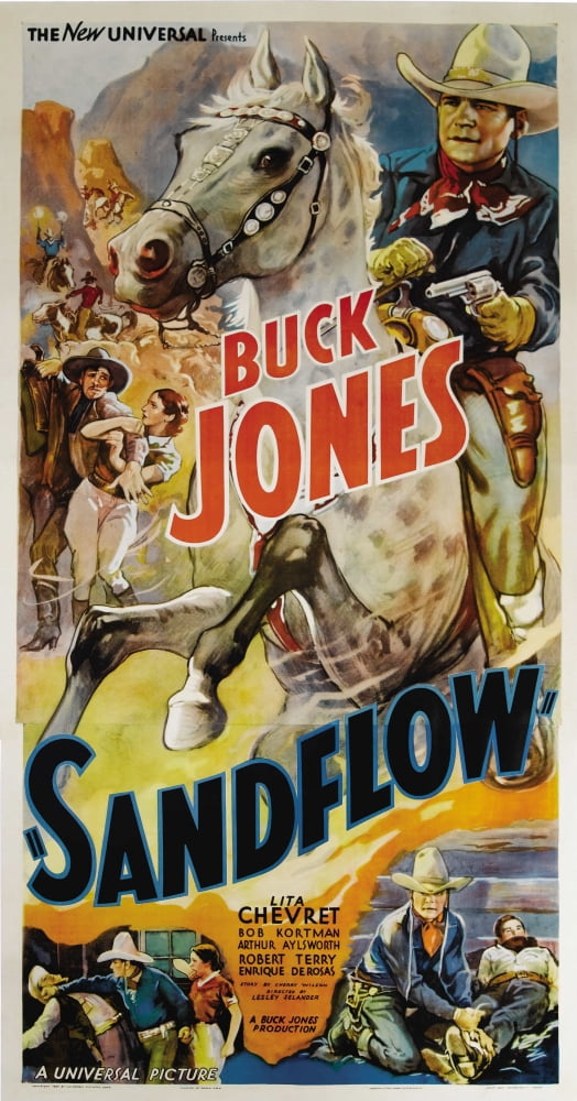 Sandflow Canvas Art - (24 x 36)