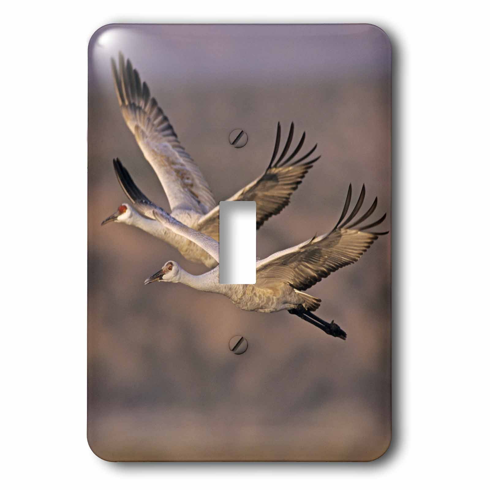 Gartenflagge New Mexico Roadrunner Bird | 30,5 X 45,7 Cm | Aus Polyester | Für Draußen