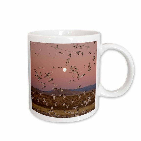 3drose, Sandhill Cranes, Snow Geese, Birds, New Mexico - Us32 Ska0028 - Steve Kazlowski, 11oz Mug