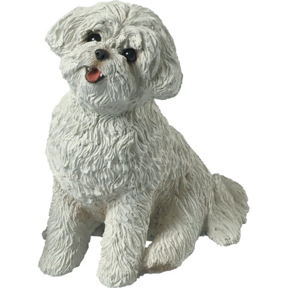 Sandicast Bichon Frise