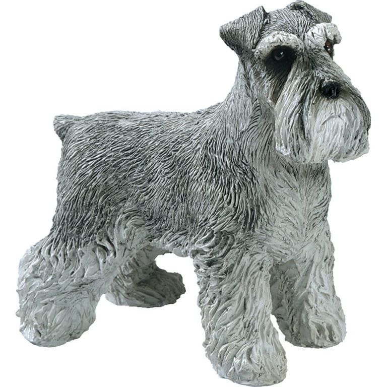 Sandicast Schnauzer, UC