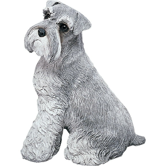 Sandicast Schnauzer, UC