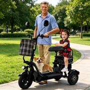 Sandinrayli Folding Electric Trike for Adults, 400W Motor, 48V 12Ah Battery, 10 Fat Tire, 3-Speed, 3 Seats & 3 Baskets, Black