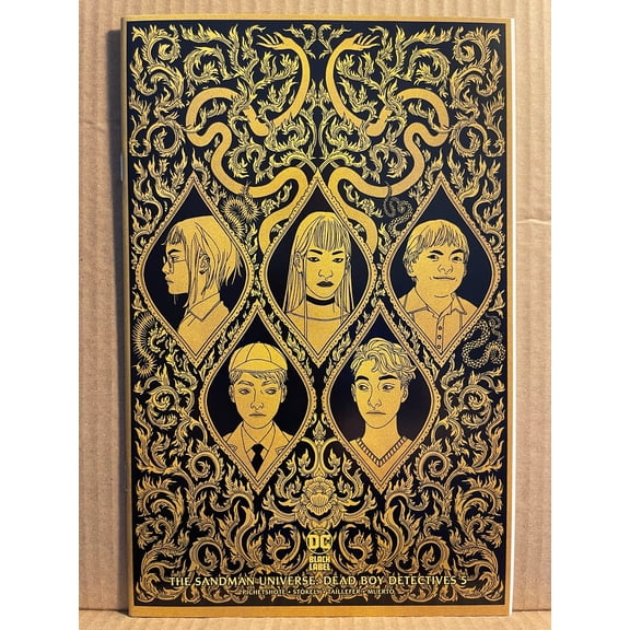 Sandman Universe: Dead Boy Detectives #5 Comic Book