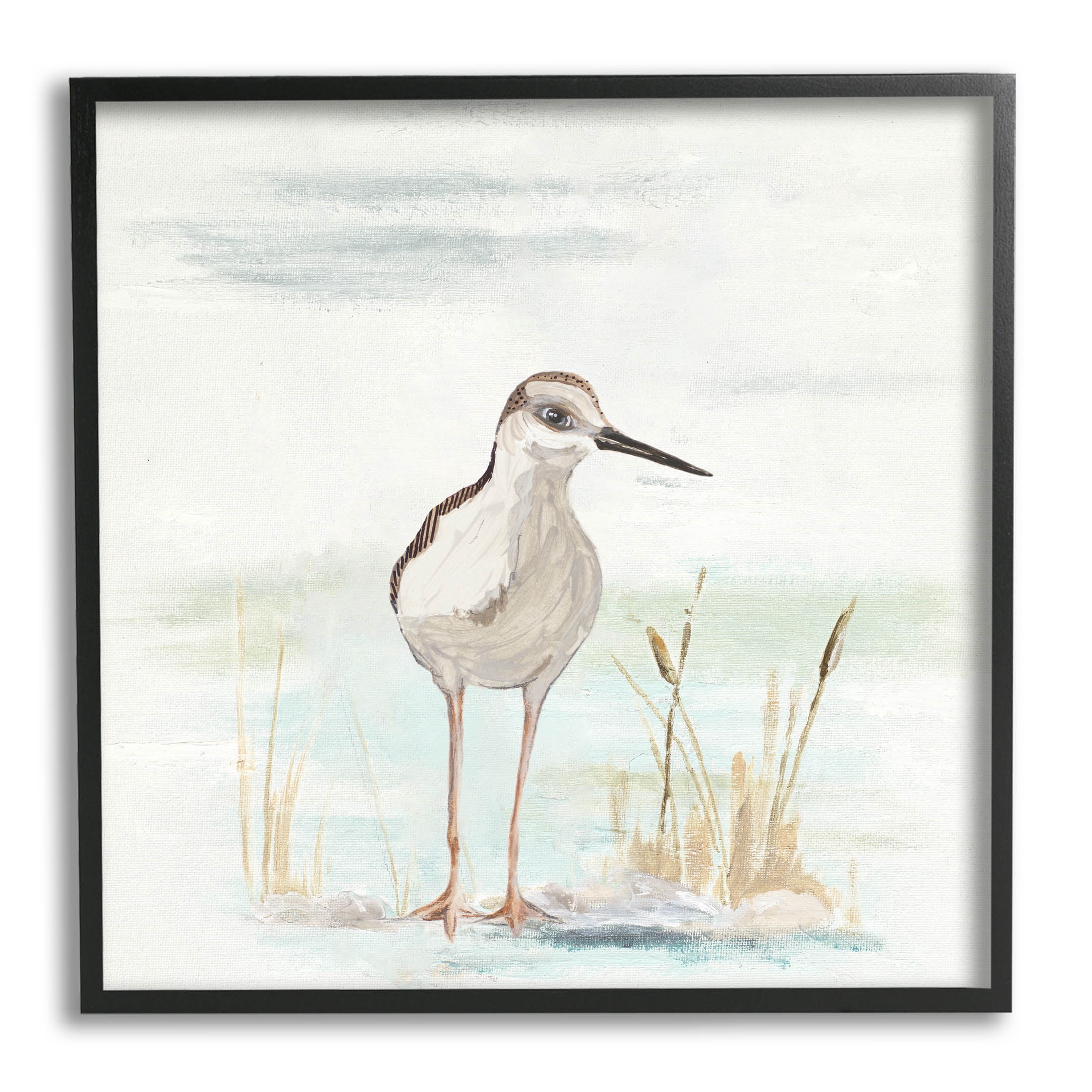 Sandpiper Bird Beach Grass Sprigs Animals & Insects Graphic Art Black Framed Art Print Wall Art