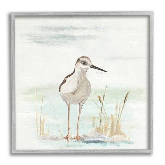 Sandpiper Bird Beach Grass Sprigs Animals & Insects Graphic Art Gray Framed Art Print Wall Art