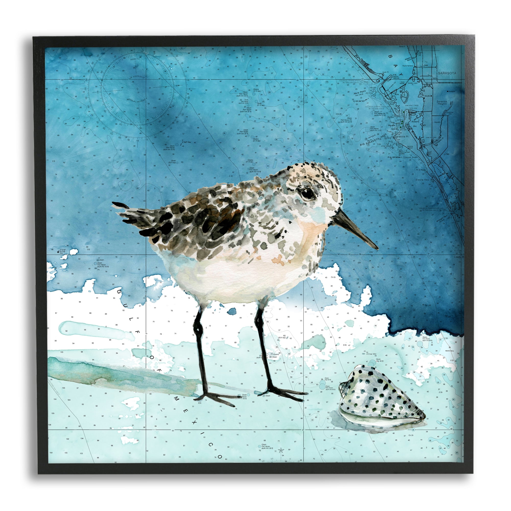 Sandpiper Bird and Shell Nautical Ocean Map Animals & Insects Framed Art Print Wall Art, 17x17