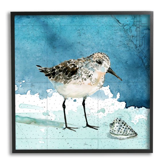 Sandpiper Bird and Shell Nautical Ocean Map Animals & Insects Framed Art Print Wall Art, 17x17