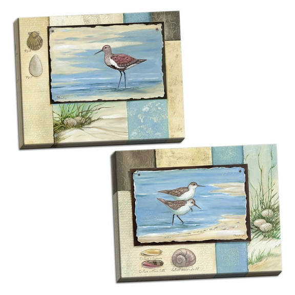 Sandpiper Collage I Classic Oceanside Sandpiper and Sea Shell Set, Coastal Decor; Set of Two 14x11in Stretched Canvases