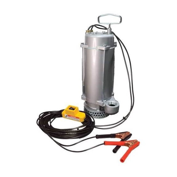 Sandpiper 1/3 HP 1-1/2" Dewatering Pump 12VDC No Switch Included SPA1 1/2E3.