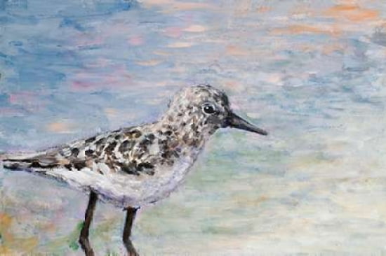 Sandpiper I Canvas Art - Walt Johnson (12 x 18)