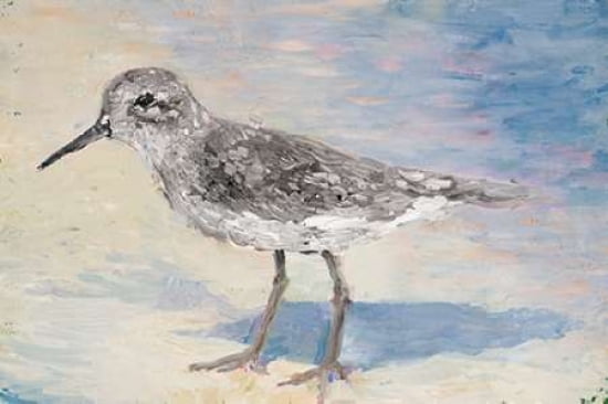 Sandpiper II Canvas Art - Walt Johnson (12 x 18)