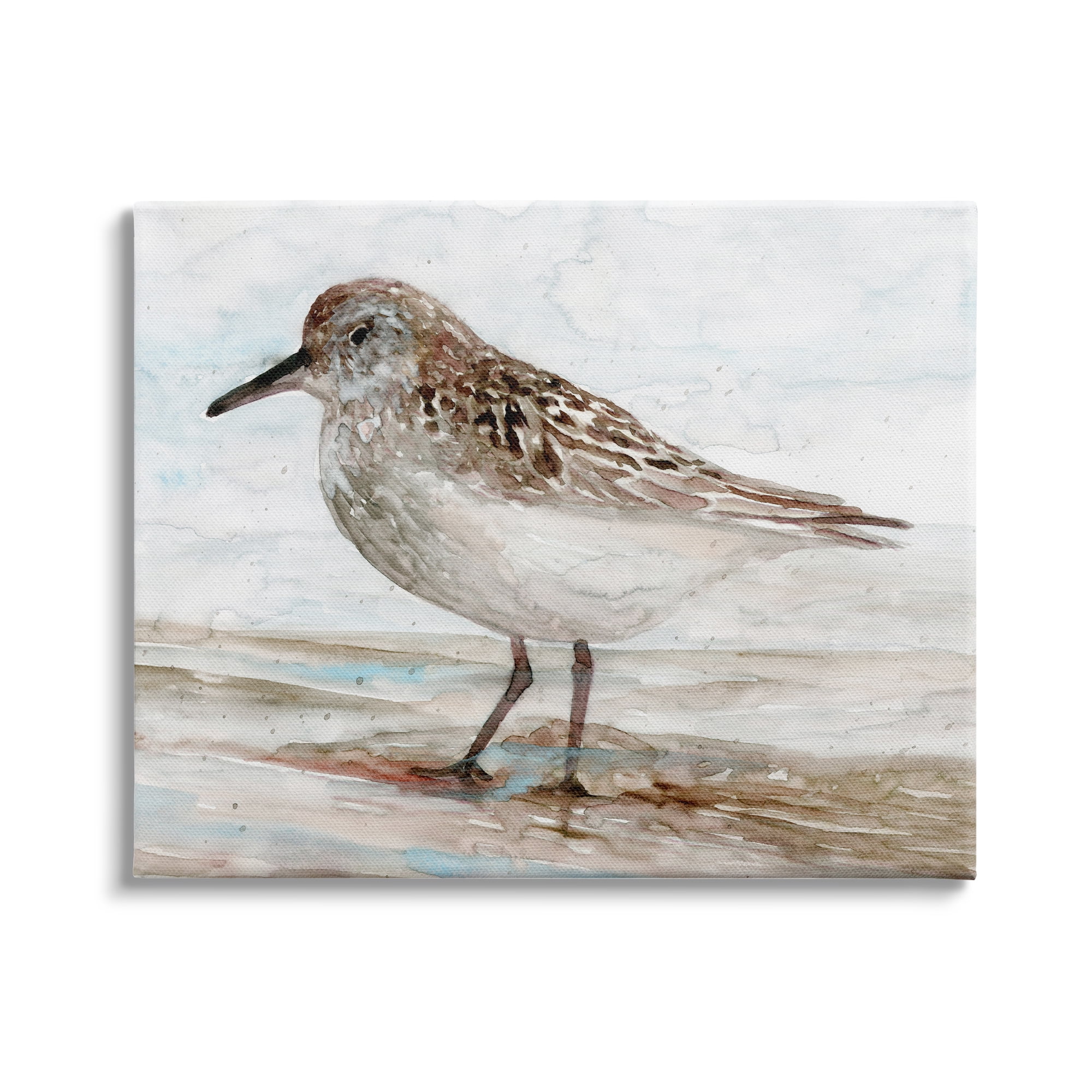 Sandpiper Painting Speckled Feather Beach Bird Nautical Coast Animals & Insects Painting Gallery-Wrapped Canvas Print Wall Art