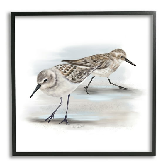 Sandpiper Pair on Sandy Beach Small Nautical Birds Animals & Insects Framed Art Print Wall Art, 17x17