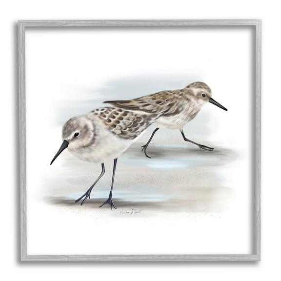 Sandpiper Pair on Sandy Beach Small Nautical Birds Animals & Insects Framed Art Print Wall Art, 17x17