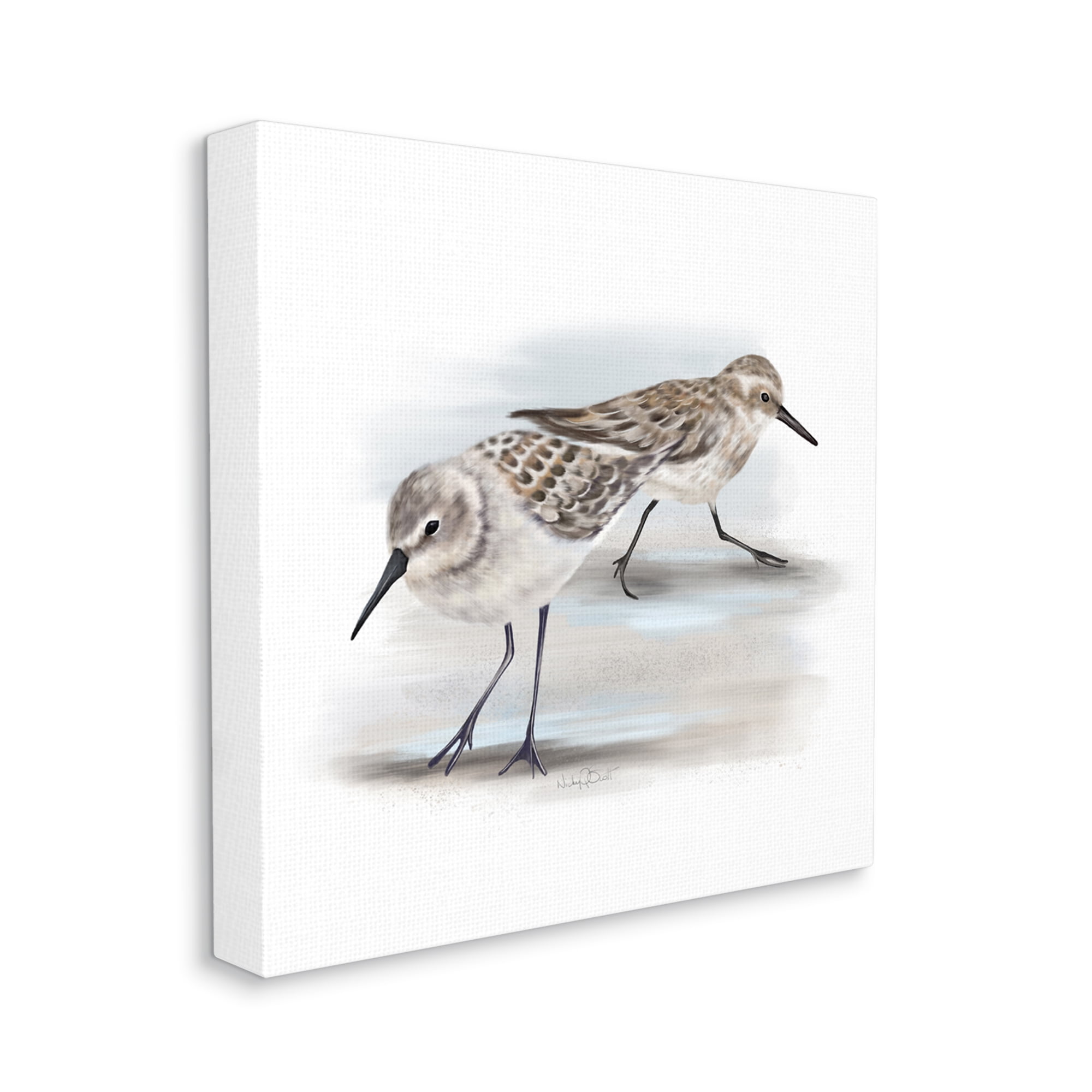Sandpiper Pair on Sandy Beach Small Nautical Birds Animals & Insects Gallery-Wrapped Canvas Print Wall Art, 17x17