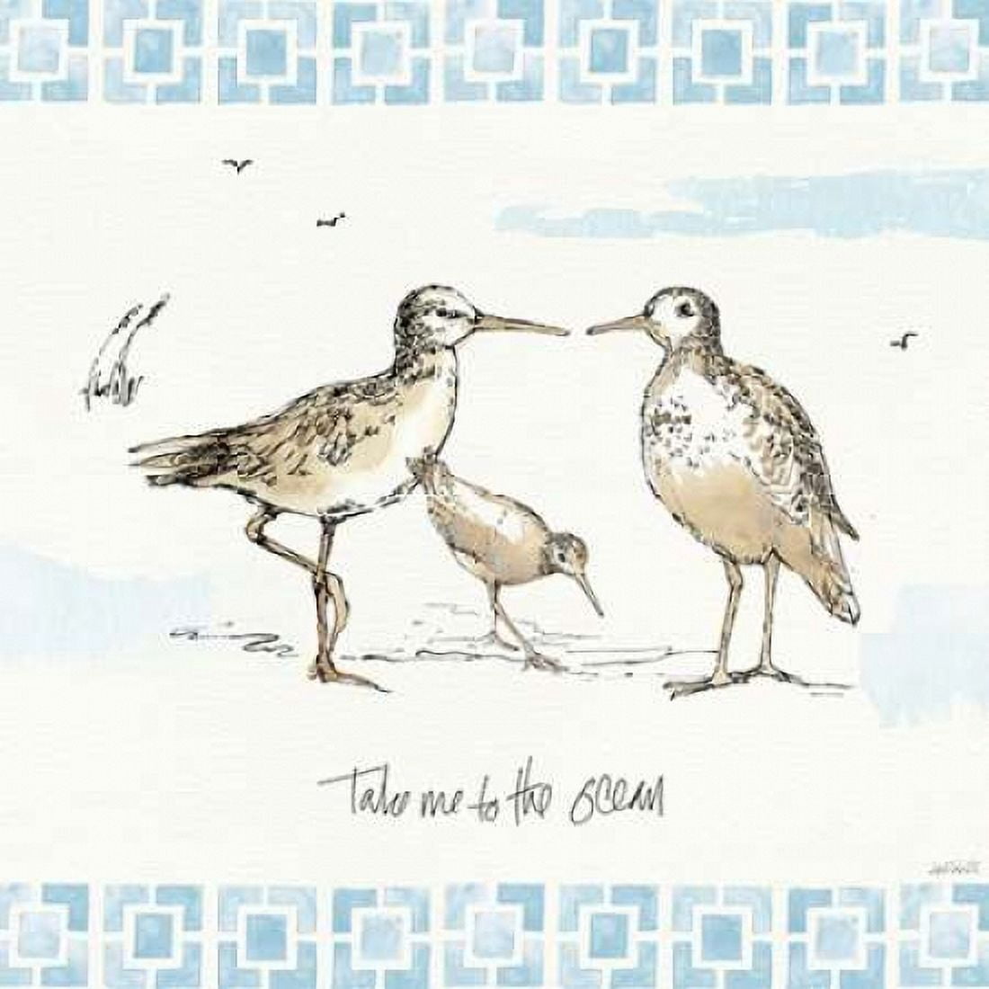 Sandpiper Sea III Canvas Art - Anne Tavoletti (24 x 24)