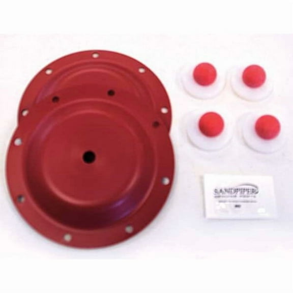 Sandpiper Wet End Repair Kit 476.199.654