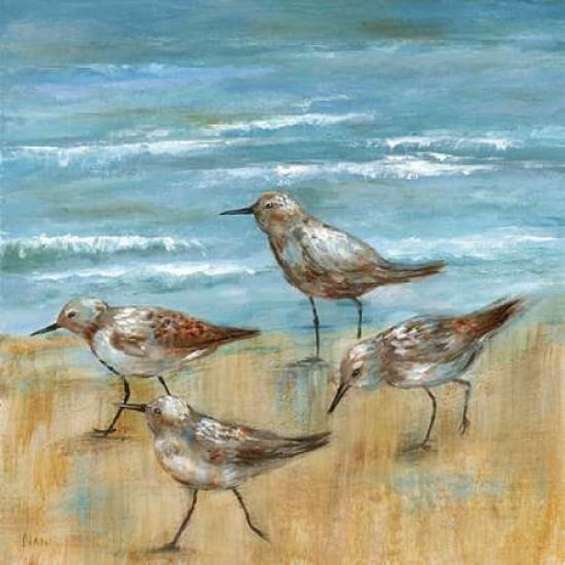 Sandpipers III Canvas Art - Nan (24 x 24)
