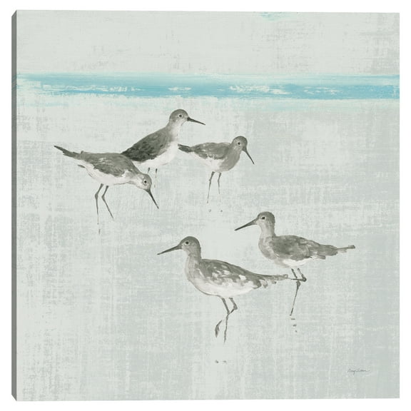 Sandpipers Square I Gray by Avery Tillmon Canvas Art Print
