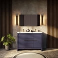 thumbnail image 1 of Sandpoint 48 in W x 20 in D Navy Blue Double Bath Vanity, Cultured Marble Top and 43 in Mirror, 1 of 9