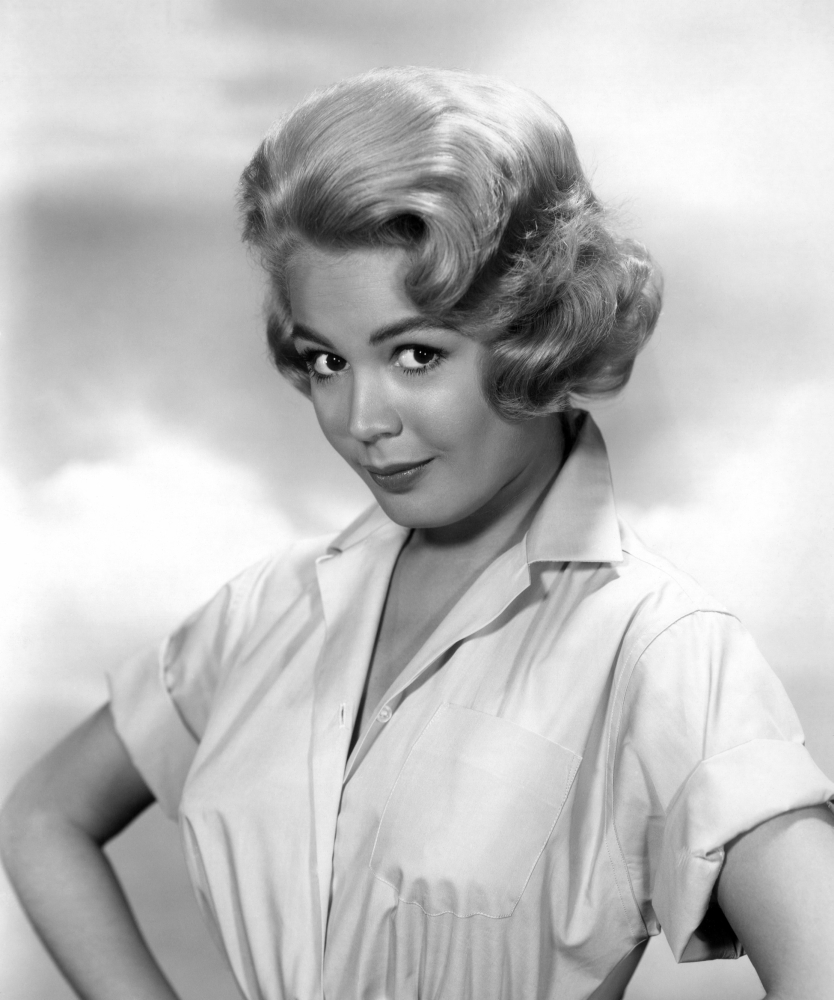 Sandra Dee Canvas Art - (16 x 20)