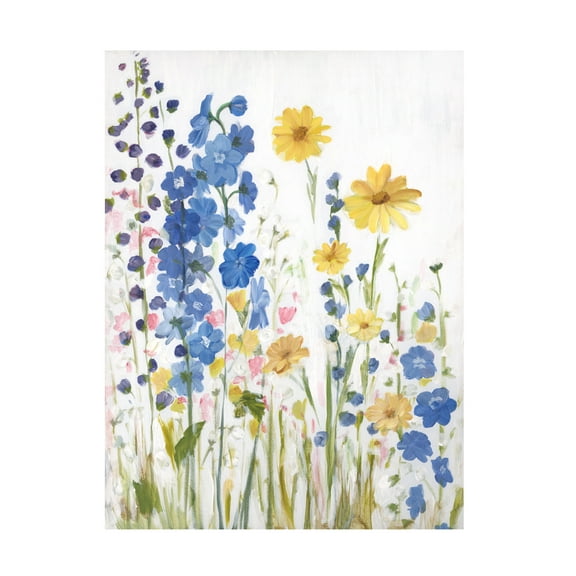 Sandra Iafrate 'Periwinkle Wildflowers I' Canvas Art