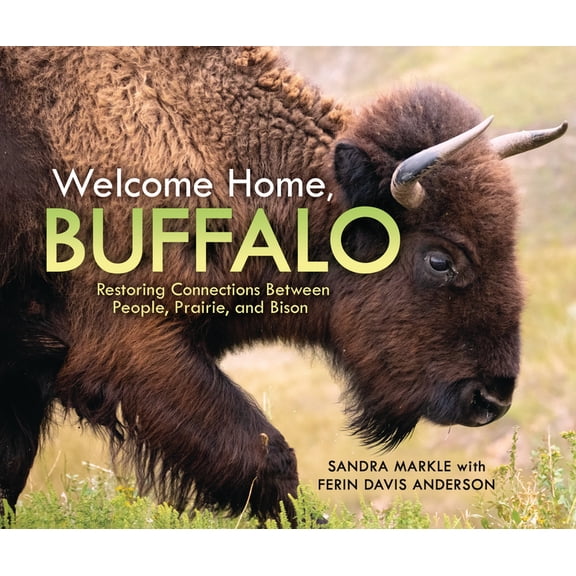 Sandra Markle's Science Discoveries Welcome Home, Buffalo: Restoring Connections Between People, Prairie, and Bison, (Hardcover)