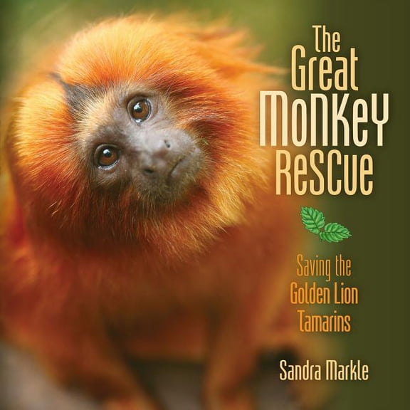 Sandra Markle's Science Discoveries The Great Monkey Rescue: Saving the Golden Lion Tamarins, (Hardcover)
