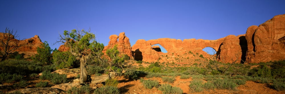 Sandstone Arches Arches National Park Utah Canvas Art - Panoramic Images (27 x 9)