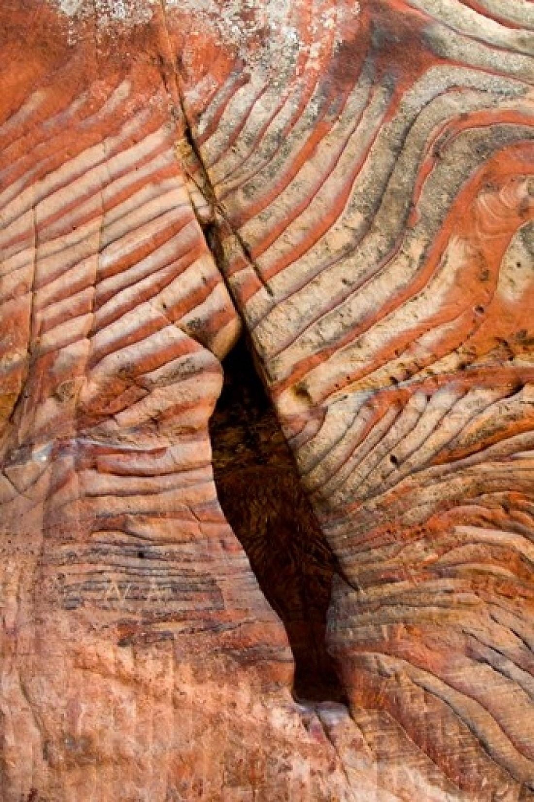 Sandstone Rock Formations Petra Jordan Canvas Art - Aldo Pavan DanitaDelimont (24 x 36)
