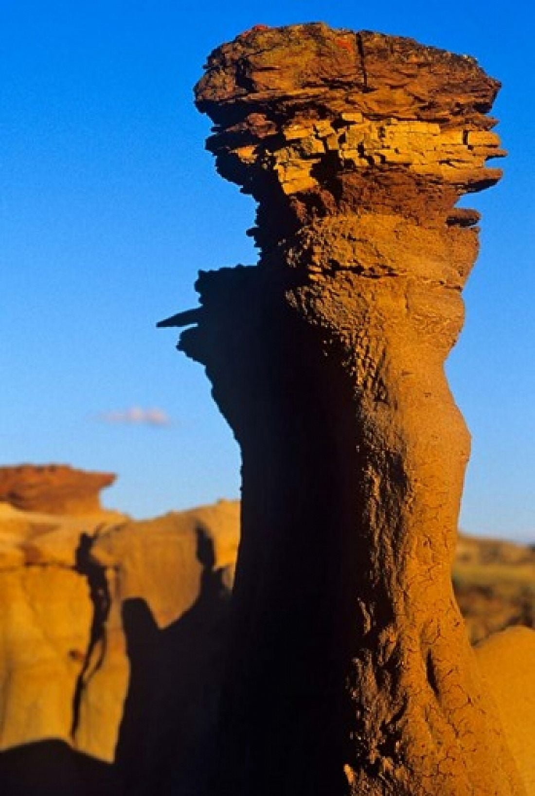 Sandstone rock Dinosaur Provincial Park Alberta Canvas Art - Chuck Haney DanitaDelimont (24 x 36)