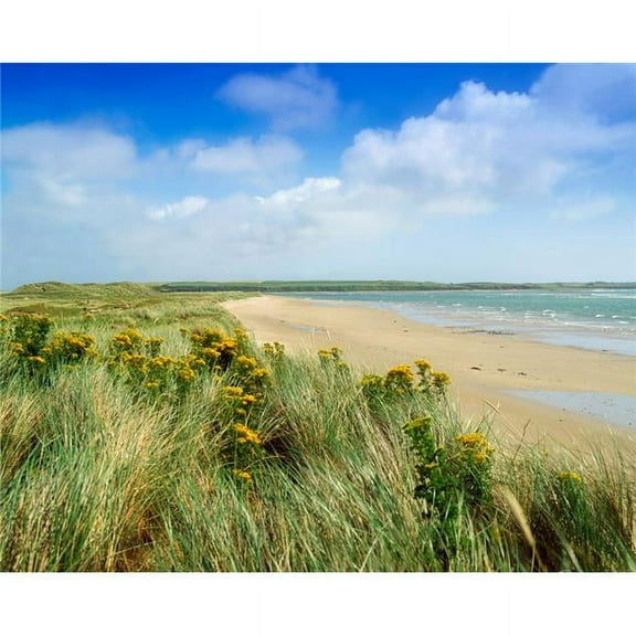Sandunes At Fethard Co Wexford Ireland Poster Print by The Irish Image Collection - 34 x 26 - Large