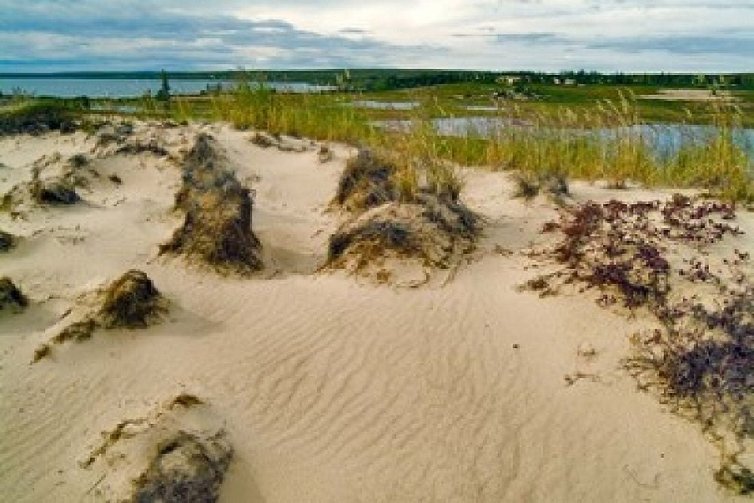 Sandy Beach Canvas Art - Janis Miglavs DanitaDelimont (36 x 24)