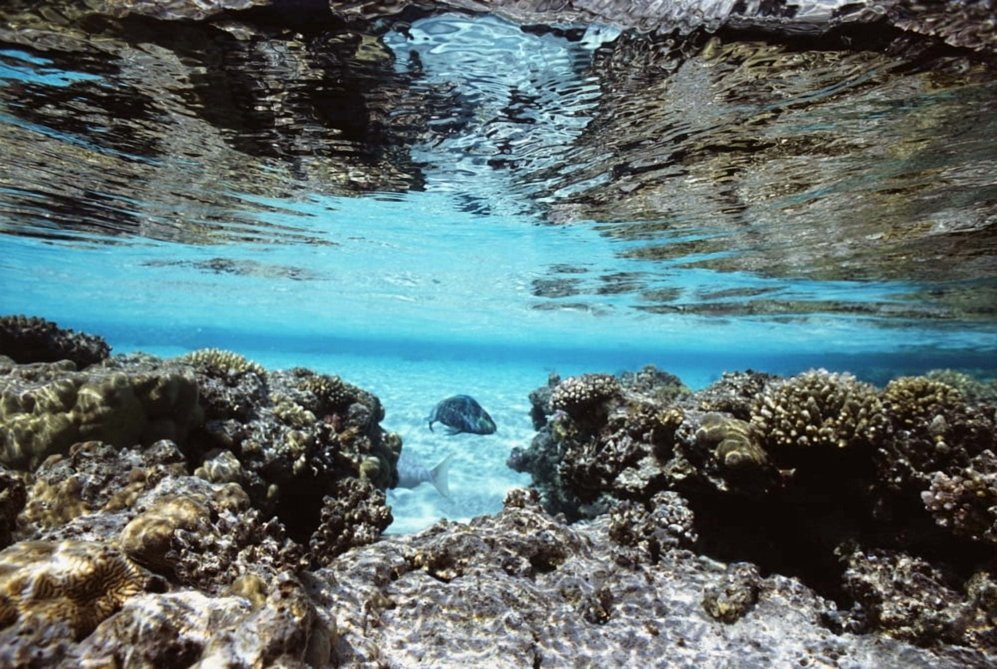Sandy Lagoon And Reef Reflected In Calm Sea Canvas Art - Alex Misiewicz Design Pics (17 x 11)