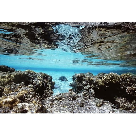 Sandy Lagoon & Reef Reflected In Calm Sea Poster Print, 34 x 22 - Large